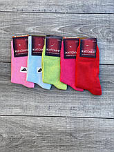 Стрейчові демысезонні жіночі шкарпетки Житомир високі яскраві кольори 35-41 12 шт асорті
