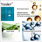 Антивіковий патч YOXIER від зморшок на лобі й переніссі, фото 10