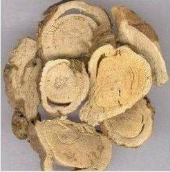 Корень Сафора Sophora flavescens 500г КУШЕНЬ ГОРЬКИЙ КОРЕНЬ