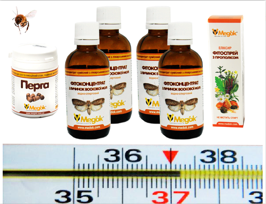 Апі-комплекс "Стоп-застуда", фото 1