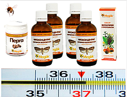 Апі-комплекс "Стоп-простуда" (Безкоштовна доставка)