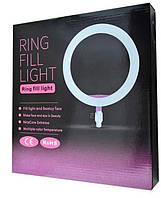 Кольцевая светодиодная лампа для профессиональной съемки (26 см) Ring Fill Light ZD666 с пультом регулировки