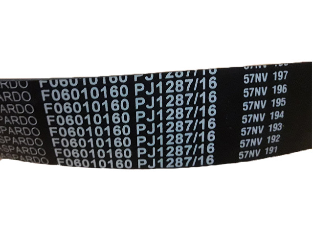 Ремінь приводний (вентилятор) Gaspardo, F06010160, фото 1