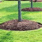 Кора соснова дрібна, соснова кора мілка фракція, кора для мульчування 1-3 см 50 л набір 50 мішків, фото 8