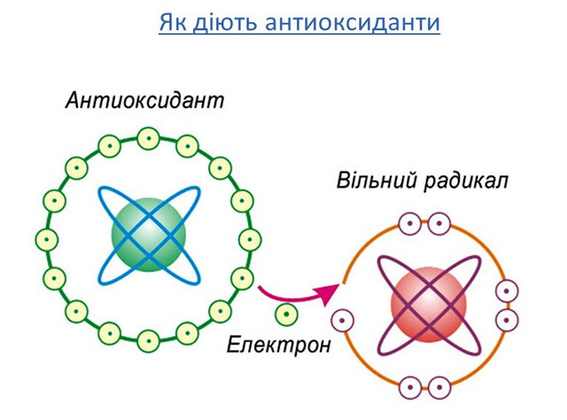 робота антиоксидантів