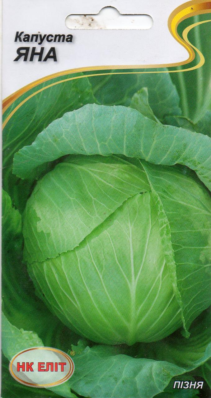 Капуста ЯНА 1 г.
