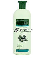 Шампунь для жирных волос Recept Clean Fresh For Greasy Hair Shampoo Subrina, 400 мл