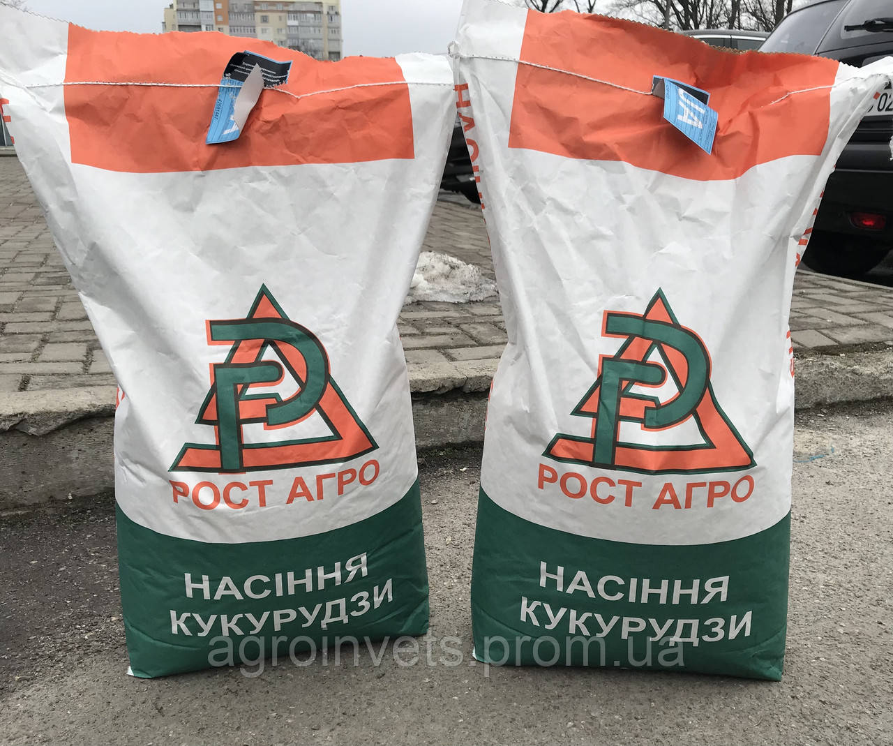 Насіння кукурудзи ДН Галатея ФАО 260 f 1