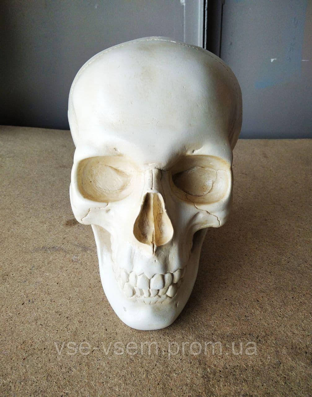 Скарбничка — череп, колір слонова кістка