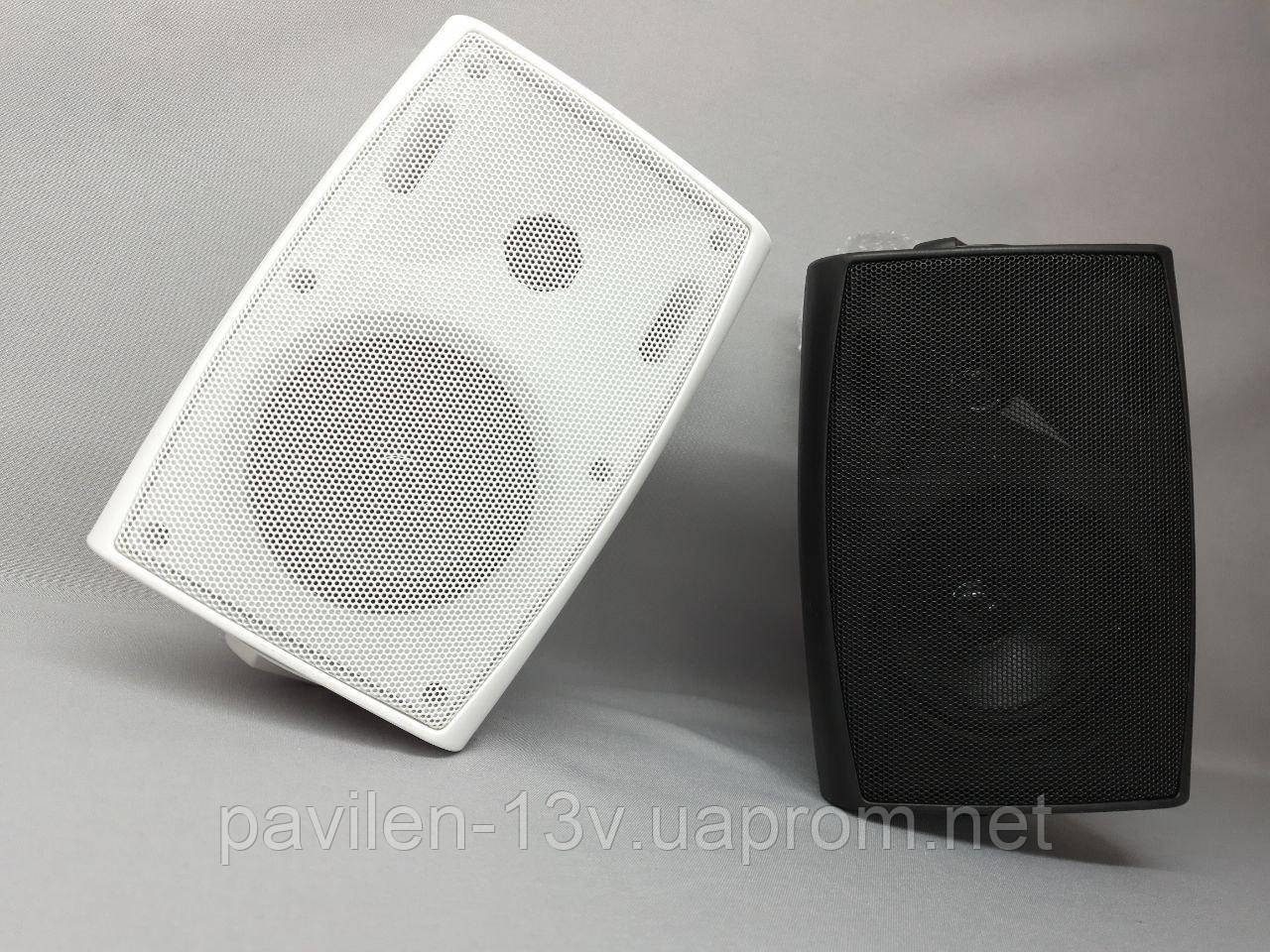 Трансляційна акустика FT-204 ( білий) настіна акустика - фото 3 - id-p1369934271