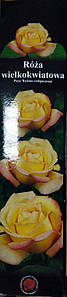 Троянда великоквіткова жовта з рожевим 1шт