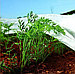 Агроволокно біле рулон 3,2х100м. (30 г/м² "Shadow" Чехія), фото 6