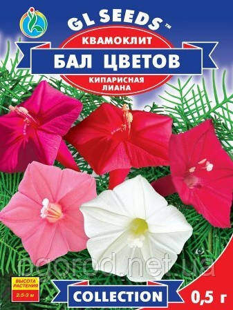 Насіння квамоліту Бал Цвітів GL Seeds 0,5 грама