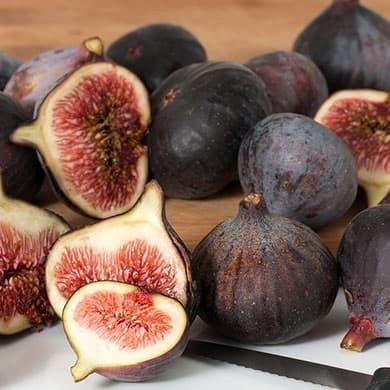 Саджанці інжиру Texas Everbearing(Техас) (1р)- великоплідний, ранній, солодкий, фото 1