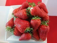 Розсада полуниці Брілла - дуже рання, крупноплідна, врожайна,невибаглива., фото 4