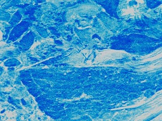 Пленка ПВХ ALKORPLAN 3000 MARBLE CLASSIC