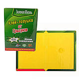 Пастка клейова від гризунів 14,5х20,5 см TG-23, 5 шт, фото 2