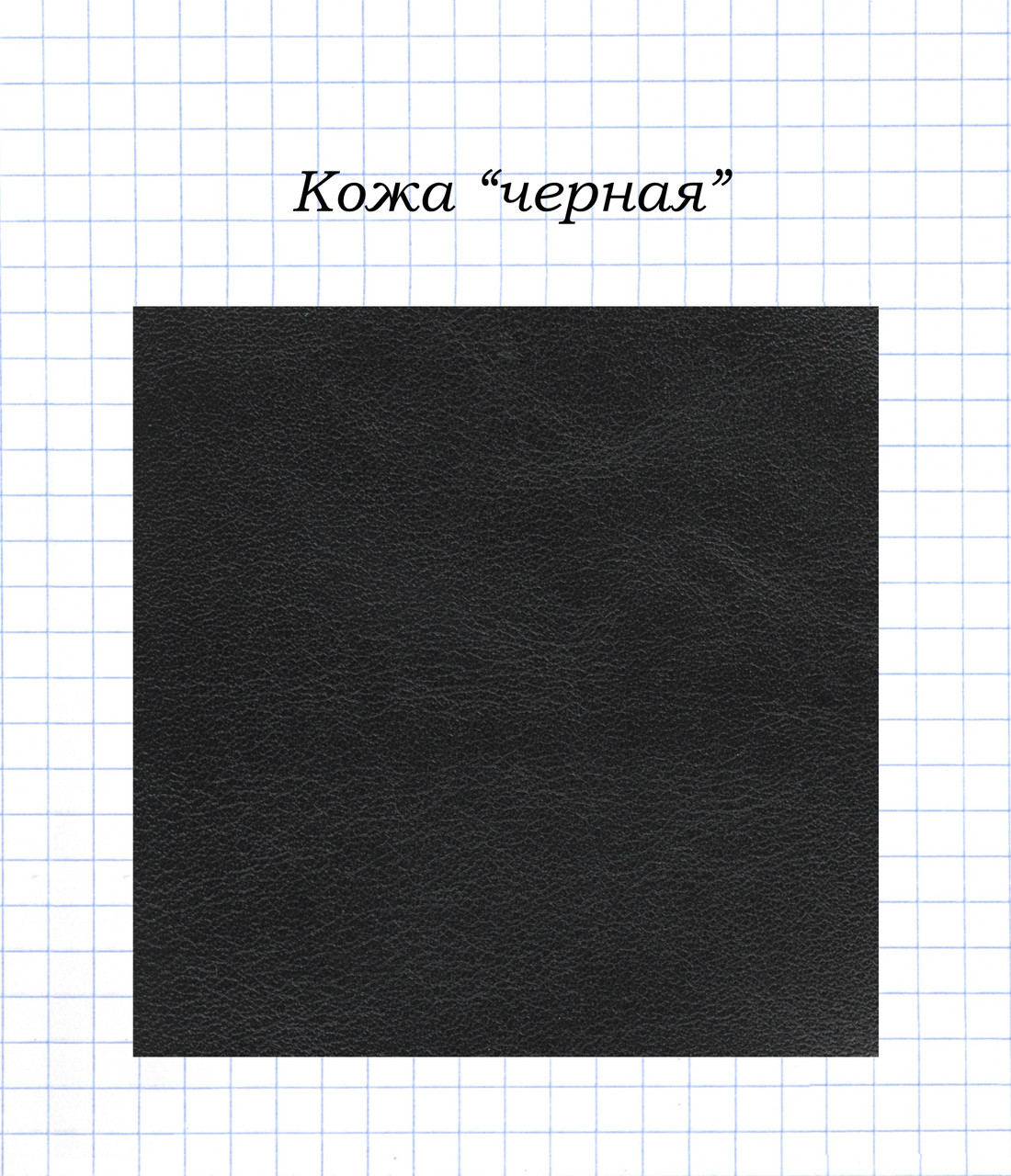 Шкіра чорна