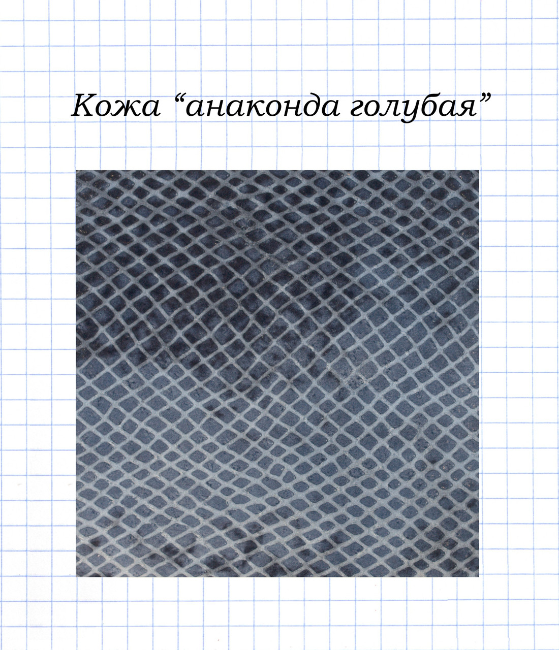 Шкіра "Анаконда блакитна", фото 1