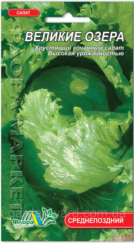 Насіння салат Великі озера 0,3 г. Флора маркет