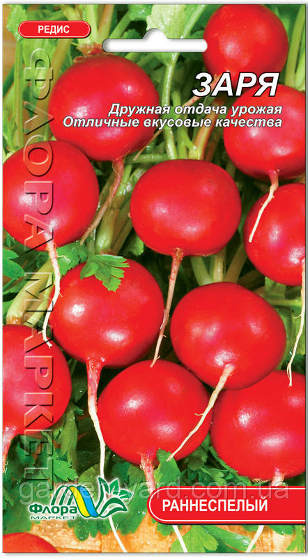 Насіння редис Зоря 3г. Флора маркет