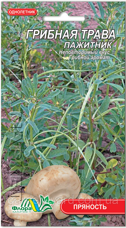Насіння Грибна трава Пажитник 0,5 г. Флора маркет