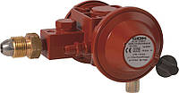 Регулятор Емкости газа для прямого подключения к газгольдера POL IG G 1/2 50 мбар 6 кг / ч