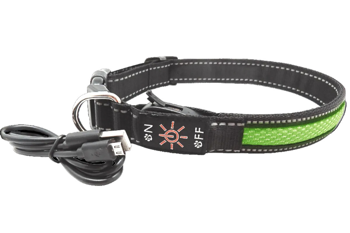 LED-нашийник AnimAll для собак (з підзарядкою USB) L 2.5/50-60см зелений