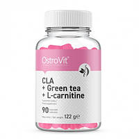 КЛК (конъюгированная линолевая кислота) + зеленый чай + L-карнитин, CLA + GREEN TEA + L-CARNITINE, OstroVit,