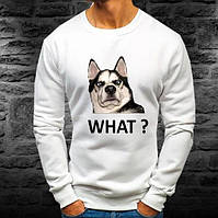 ЧОЛОВІЧІ ХУДІ, ТОЛСТОВКИ