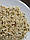 Очищені насіння конопель, фото 2