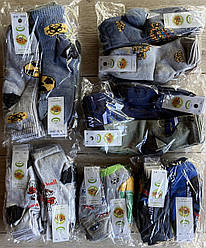 Дитячі демисезонні шкарпетки з бавовни хлопчикам тм "Еко" р20-22