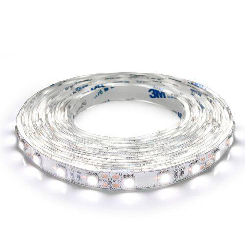 Світлодіодна стрічка BIOM Professional BPS-G3-12-5050-60-CW-20 білий, негерметична, 1м µ, фото 1