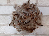 Пір'я фазана для декору, 100 шт/уп 4-5 гр, фото 5
