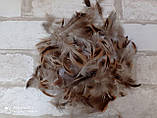 Пір'я фазана для декору, 100 шт/уп 4-5 гр, фото 8
