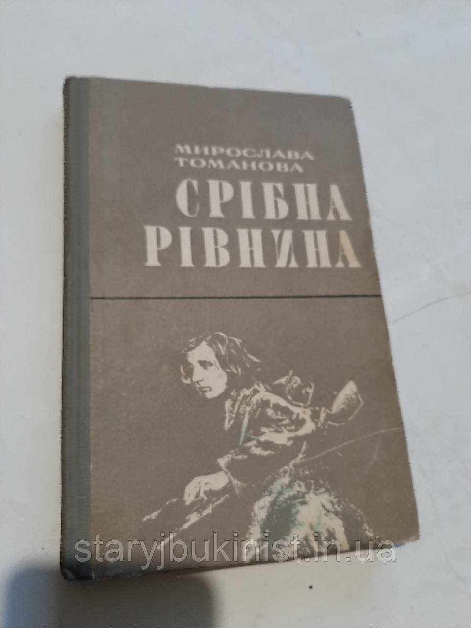 Срібна рівнина М.Томанова, фото 1