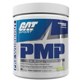 Передтренувальний комплекс GAT Sport GAT PMP 255 г, фото 1