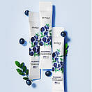 Нічна маска для обличчя Bioaqua Blueberry Arbutin Mask з екстрактом чорниці 4 ml (паковання 20 штук), фото 2