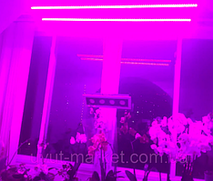 Універсальні повний спектр