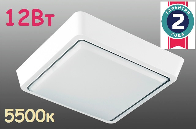 Настінно-стельовий світлодіодний світильник LUMINARIA DLS 12W 220V IP20 5500K 1080Lm 150*30m, фото 1