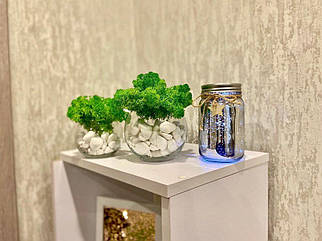Стабілізований мох у скляних горщиках 8.5х8.5 см декор для дому та офісу/оригінальний подарунок 10.5х10.5 см
