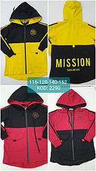 Кофта спортивна демісезонна на блискавці та з капюшоном для хлопчика, Fagis