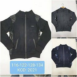 Світшот демісезонний для хлопчика, двонитка, Fagis