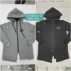 Кофта спортивна з капюшоном демісезонна для хлопчика, Fagis