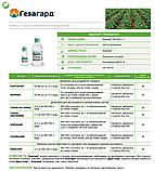Гербіцид Гезагард, 100мл, Syngenta (Сингента), фото 2