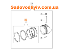 Кольца для газонокосилки Олео Мак Г 44 ПК (L66150070)