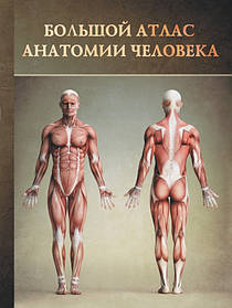 Великий атлас анатомії людини