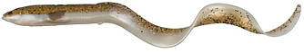 Силикон Savage Gear 3D Real Eel Loose Body 15cm 12g 22-Olive Sparkle Pearl (110620)