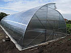 Теплиця Oscar Мітлайдер А 18м² (300х600х200см) Каркас Сірий, фото 3