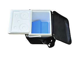 Сумка медична холодильник, термосумка для медикаментів, термохолодильник для ліків СХП-01 Заповіт